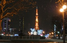 大通公園のホワイトイルミネーションが綺麗です。