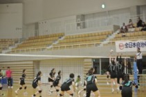 【全国バレー大会速報⑦】札幌市職連快勝!決勝戦進出!