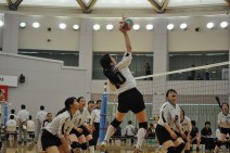 【38回全道バレー大会速報⑨】前回王者・旭川市職労敗れる!深川市職労・帯広市労連が勝利!ベスト4が出揃う!