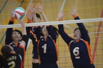 【38回全道バレー大会速報⑧】苫小牧市職労・札幌市労がベスト4進出!決勝トーナメント第一試合が終了!