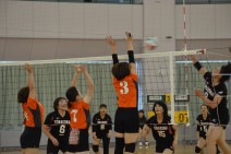 【38回全道バレー大会速報⑩】決勝進出は苫小牧市職労と帯広市労連!